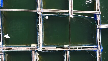 Top view of a floating fish farm on the background of the green water of the lake. Technological industry production of fish products. Calm footage taken from a drone in the daytime.