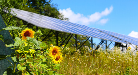 Modern solar panels on the background of the sky. Solar panels and sunflowers. Alternative...