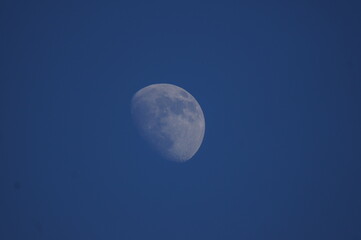 luna © Fernando