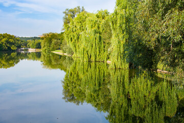 Big Novodevichy pond on a sunny day near the Novodevichy convent or Bogoroditse-Smolensky monastery. UNESCO world heritage site