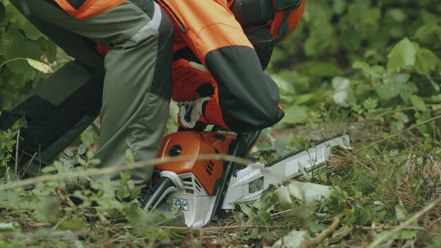 Woman logger in the forest, female specialist in protective gear start a chainsaw, hard works on deforestation.