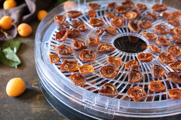 The process of home cooking dried fruits or candied fruit in an electric dryer on a rustic table. Fruits for storage and consumption in the winter. Dehydrated apricots.