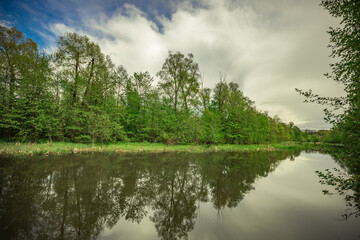 summer landscape in rural areas