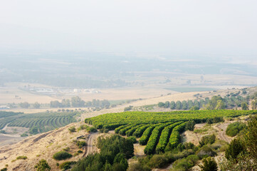 Lake Kinneret at dawn