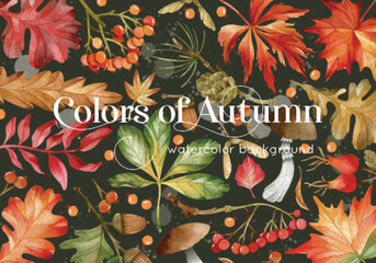 Colors of autumn watercolor leaves background © Uli Prozorova