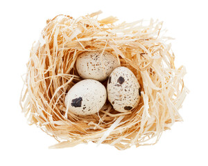 nest with spotted eggs isolated on transparent background - obrazy, fototapety, plakaty