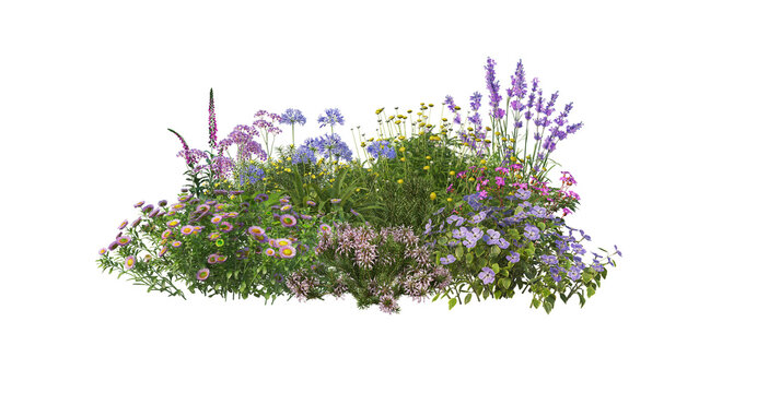 Fototapeta Colorful flowers on a transparent background
