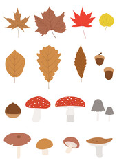 Vector illustration of autumn leaves and mushrooms.