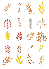Vector illustration of autumn tree branches.