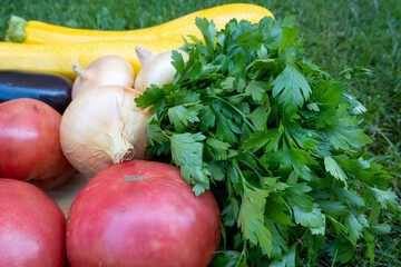 plate of fresh ripe vegetables: tomato, cucumber, onion, zucchini, courgette, eggplant, parsley at home. Early harvest on market. Concept of healthy eating lifestyle diet nutrition. 