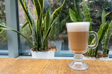 latte with foam in transparent glass on wooden table in cafeteria. There are plants indoors. Cozy atmosphere in cafe for breakfast 