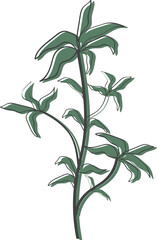 Floral flower and leaves hand drawn, Abstract botanical illustration