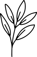 forest fern eucalyptus art foliage natural
leaves herbs inline style. Decorative beauty, elegant illustration 