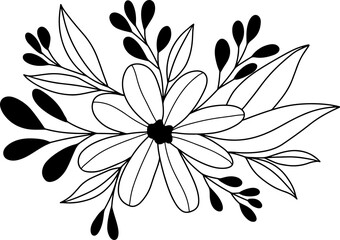 forest fern eucalyptus art foliage natural
leaves herbs inline style. Decorative beauty, elegant illustration 