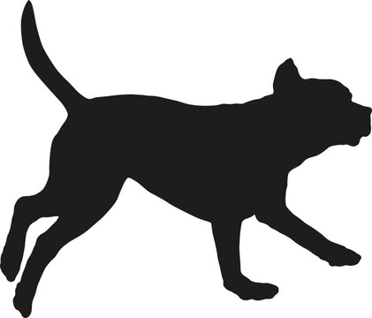 Running and jumping labrador retriever puppy. Black dog silhouette. Pet animals. Isolated on a white background. Vector illustration.