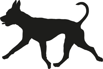 Black dog silhouette. Running american pit bull terrier puppy. Pet animals. Isolated on a white background. Vector illustration.