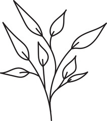 Handdrawn floral lineart, Leaves element illustration for design