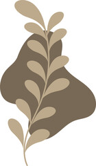 Handdrawn floral lineart with organic shape, Leaves element illustration for design