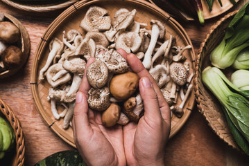Fresh organic vegetables and edible mushroom from local farmer market, Northern of Thailand, Sustainability concept