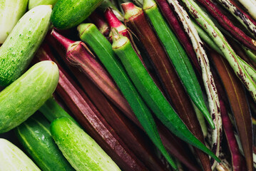 Okra, cucumber and yardlong bean, Organic vegetables from local farmer market