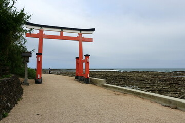 青島神社　参道　鳥居