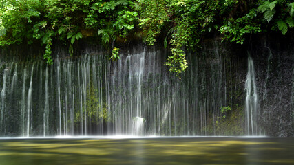 白糸の滝の清らかな水