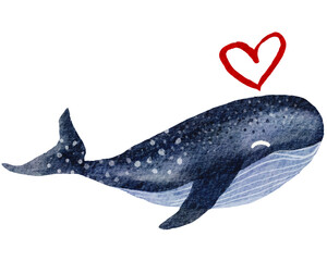 Big blue whale. Hand-drawn watercolor illustration