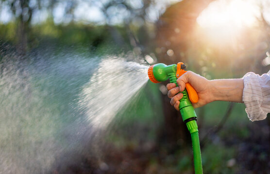 Green water sprayer in a female hand. Summer Watering plants and lawn in the garden