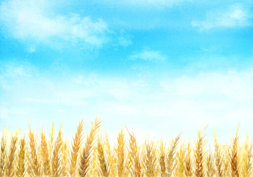 麦畑 の画像 10 063 件の Stock 写真 ベクターおよびビデオ Adobe Stock