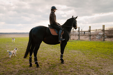 Jockey woman riding her horse during equestrian practice