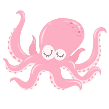 Close Eye - Octopus