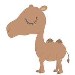 Close Eye - Camel