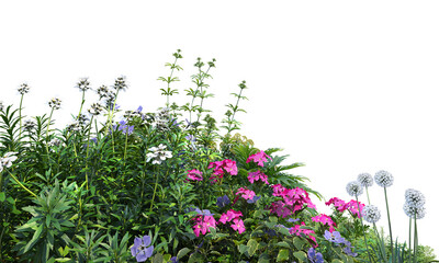 Flower garden on transparent background