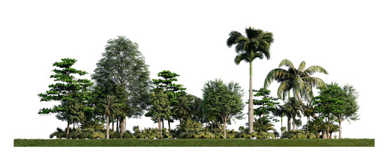 3ds rendering image of 3d rendering trees on grasses field