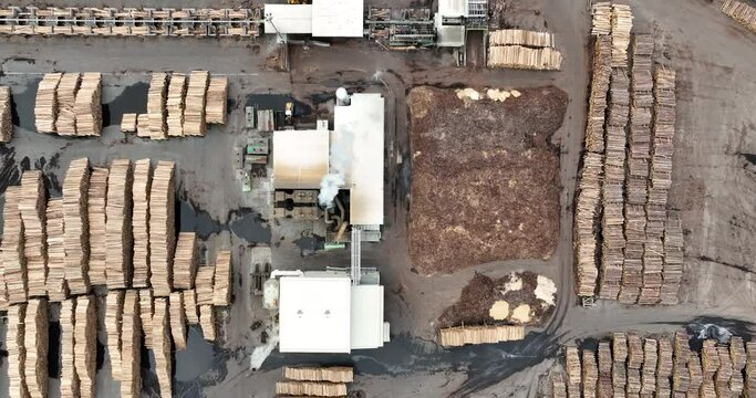 Sawmill Aerial View. Chopped Pine Tree Wood Logs Stacks in a Row with Heavy Machinery. Timber in Sawmill Top View. 