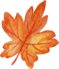 watercolor autumn fall leaves elements