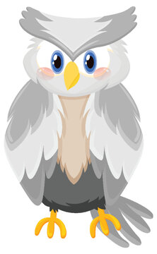 White owl bird in cartoon style