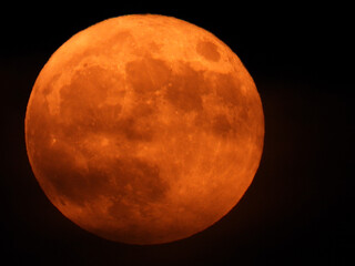 fool moon rising behind the trees and clouds