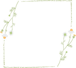 beautiful minimal white chamomile flower square frame