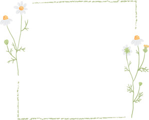 beautiful minimal white chamomile flower square frame