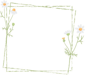 Obraz premium beautiful minimal white chamomile flower square frame