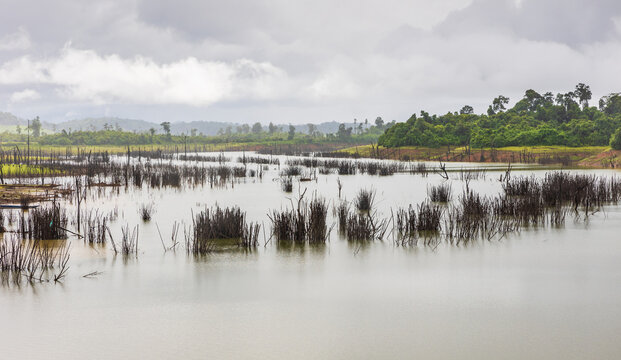 Forests Were Destroyed Because Of The Construction Of A Dam In Laos.