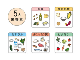 5大栄養素　食材　食べ物　栄養バランス　成分　イラスト