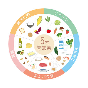 5大栄養素　食材　食べ物　栄養バランス　成分　イラスト