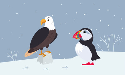 Set of cute wild polar animals. Puffin and eider marine birds vector illustration