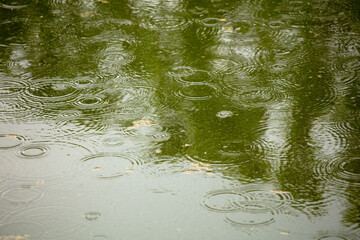 Raindrops on the surface of the water in the pond.