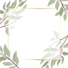 beautiful minimal seeded eucalyptus leaves square banner golden frame background for banner