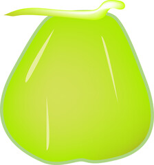 Full coconut illustration in flat design.