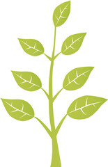 Green Leaves, cut out background.