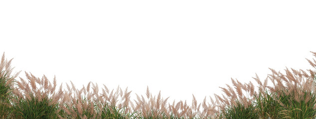 Flower garden and grass on a transparent background